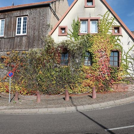 Suedpfalz Barbelroth Экстерьер фото