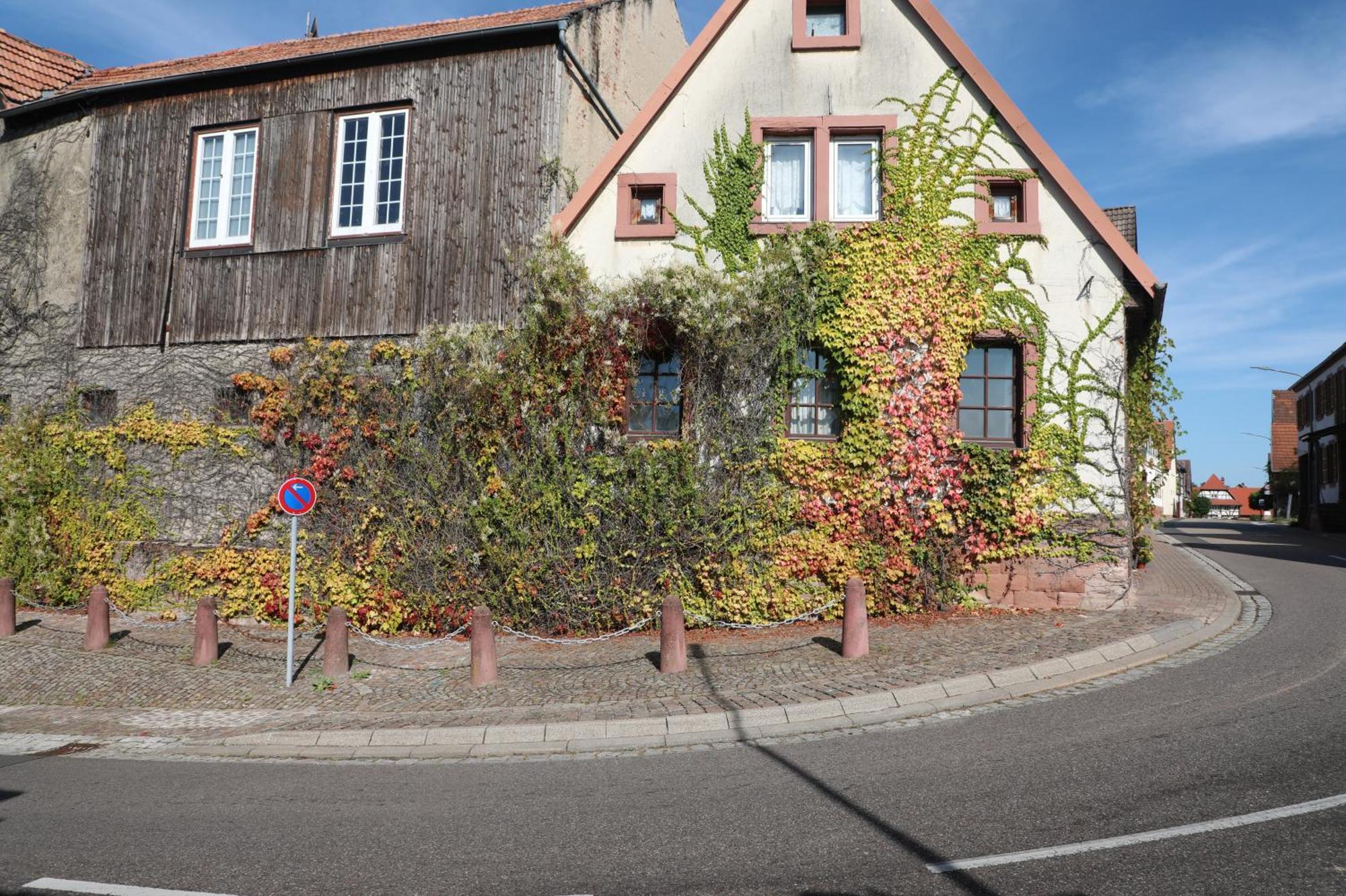 Suedpfalz Barbelroth Экстерьер фото